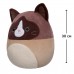 М'яка іграшка Squishmallows – Кіт Вудворд (30 cm)